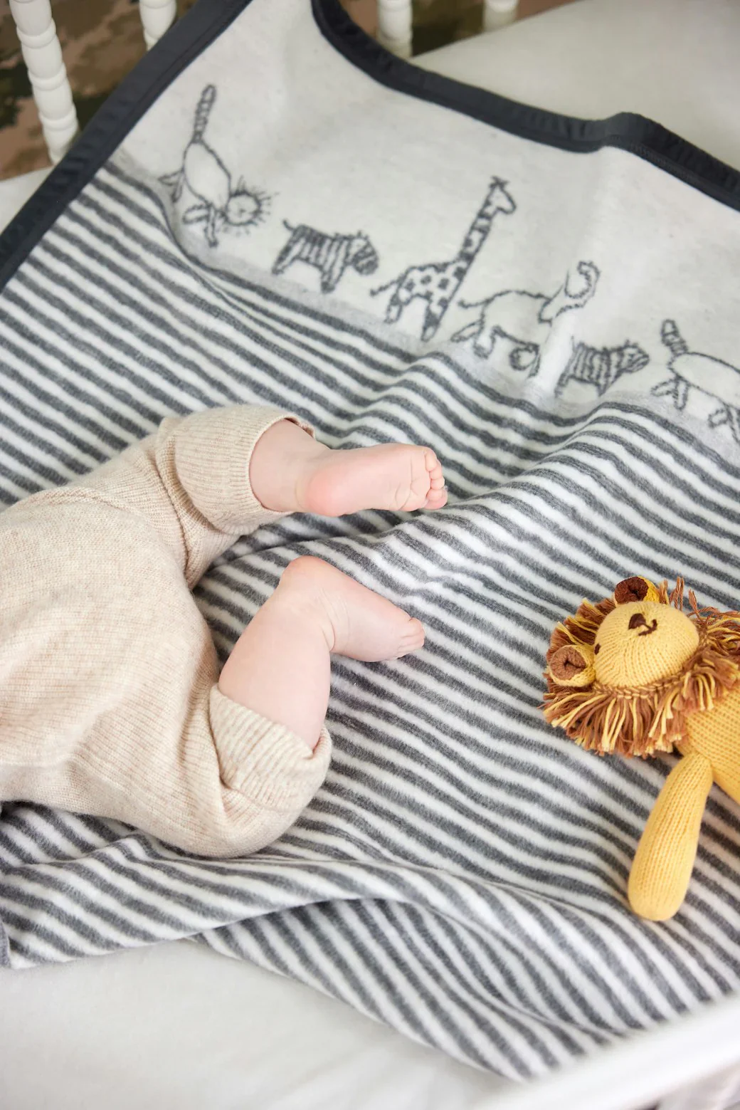 CHAPPYWRAP-  JUNGLE WALK BLANKET - Image 4